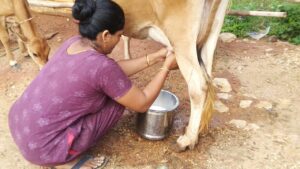 Time Zee Pashu Aahar 