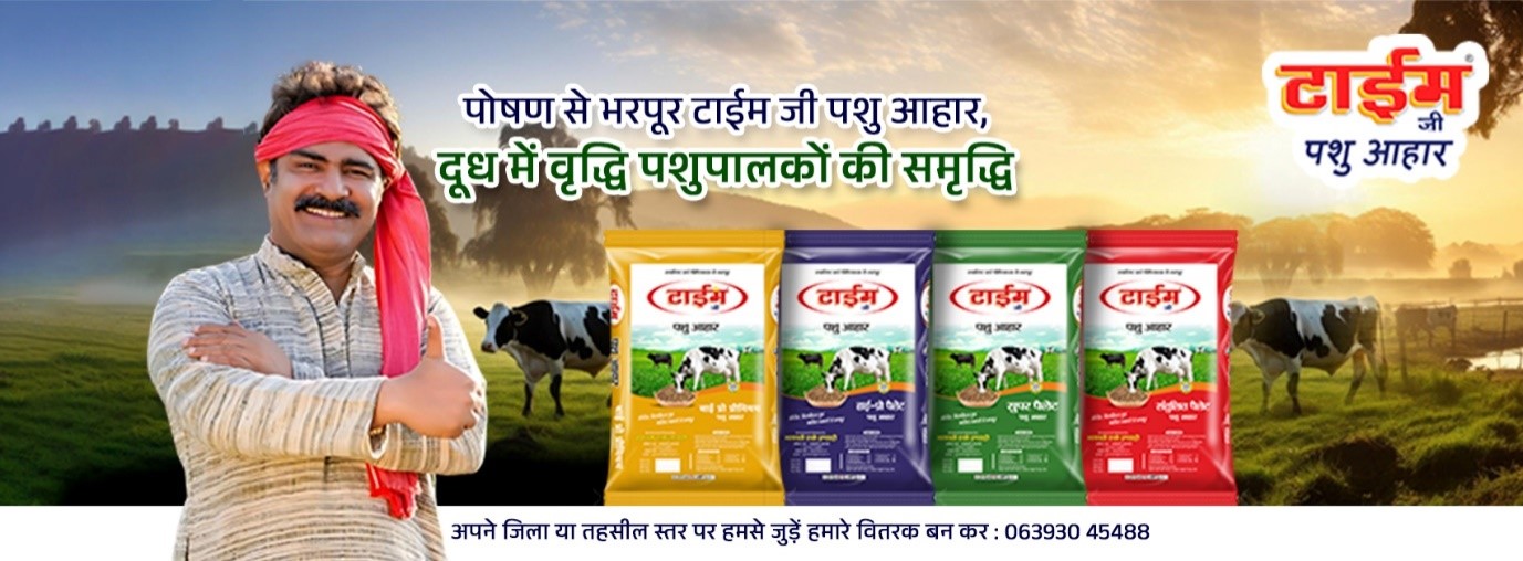 Best Cattle Feed in India