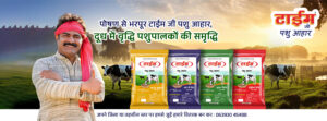 Best Pashu aahar in India