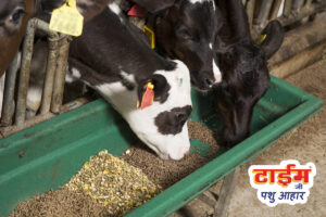 Time Zee Pashu Aahar