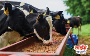 Time Zee Pashu aahar