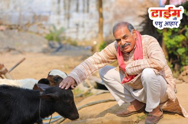 Best Pashu Aahar in India