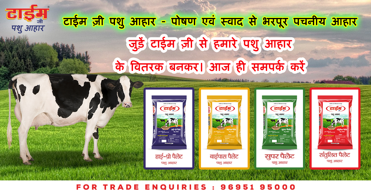 Cattle Feed in Ranchi