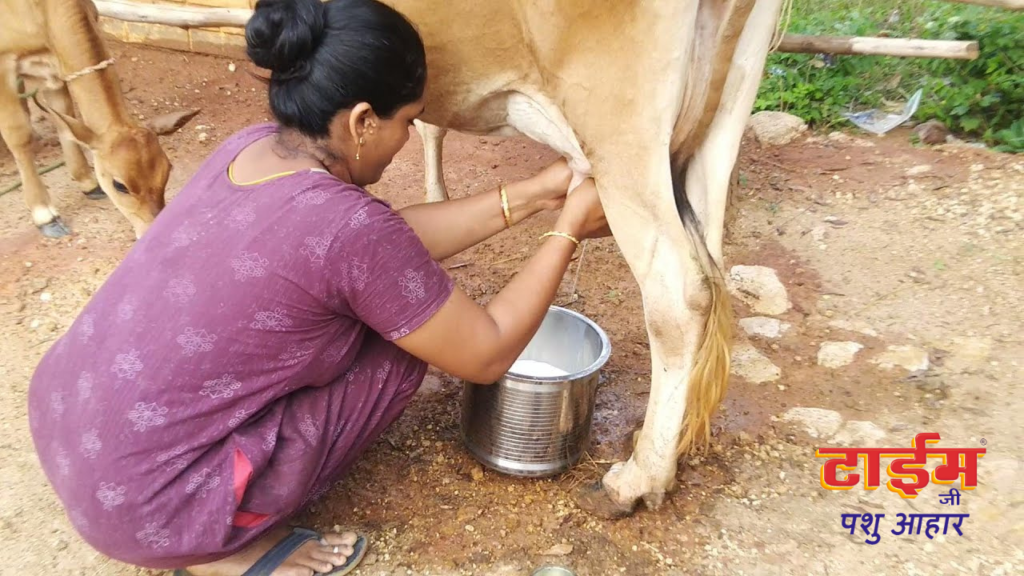 Best food to increase milk Production