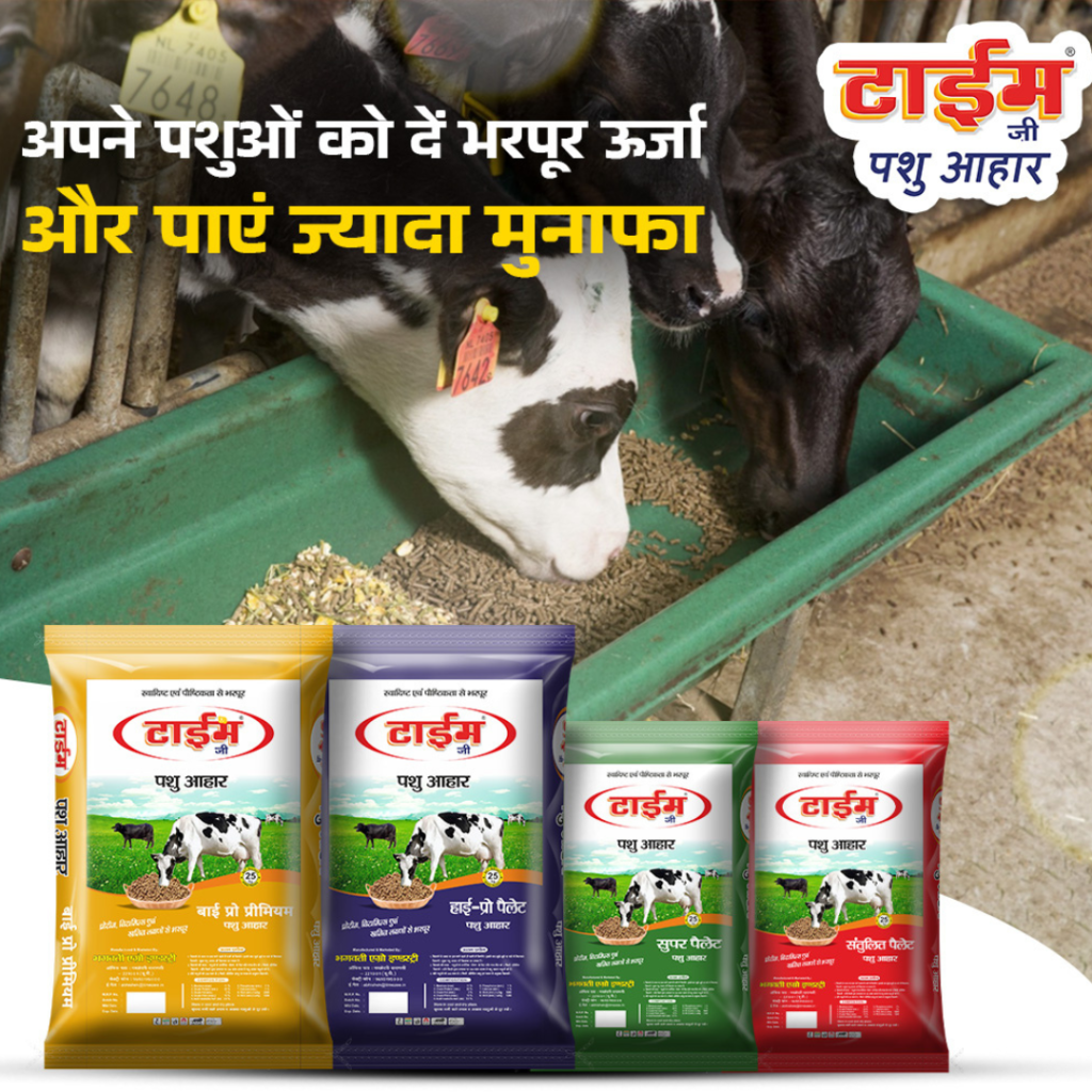 The Importance of Cattle Feed Supplements