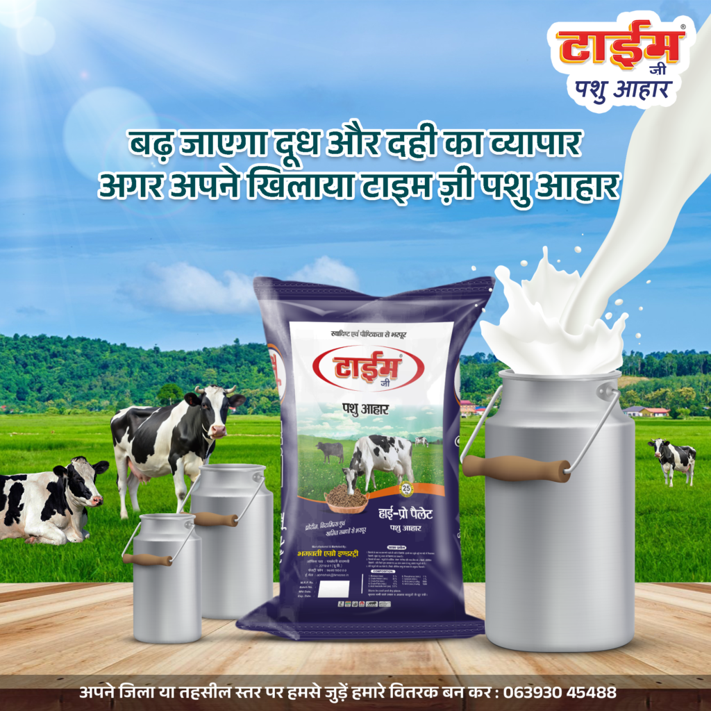 Best Cattle Feed