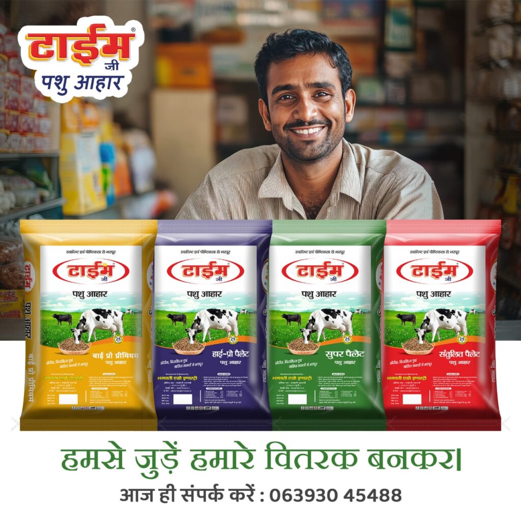 Best Cattle Feed